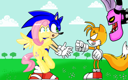 Size: 1680x1050 | Tagged: safe, artist:kaiamurosesei, character:fluttershy, character:sonic the hedgehog, angry, commission, crossover, crossover shipping, fluttersonic, miles "tails" prower, sonic lost world, sonic the hedgehog (series), zazz, zeti