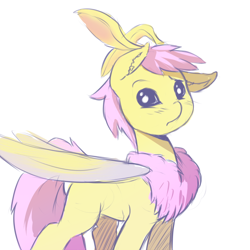 Size: 700x700 | Tagged: safe, artist:jalm, oc, oc only, species:mothpony, chest fluff, looking at you, moth, original species, ponified, rosy maple moth, simple background, solo, white background