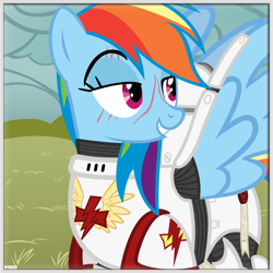 Size: 1000x1000 | Tagged: safe, artist:a4r91n, character:rainbow dash, species:pegasus, species:pony, armor, crossover, eye scar, female, icon, lidded eyes, mare, power armor, powered exoskeleton, purity seal, scar, smug, solo, space marine, warhammer (game), warhammer 40k, white scars