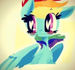 Size: 1280x1199 | Tagged: safe, artist:supernoncutie, character:rainbow dash, chest fluff, female, solo