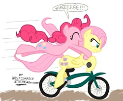 Size: 1155x953 | Tagged: safe, artist:willisninety-six, character:fluttershy, character:pinkie pie, bicycle, ride to conquer cancer