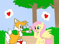 Size: 960x720 | Tagged: safe, artist:kaiamurosesei, character:fluttershy, crossover, crossover shipping, female, fluttertails, interspecies, love, male, miles "tails" prower, shipping, sonic the hedgehog (series), straight