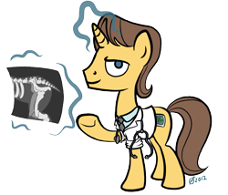 Size: 1011x866 | Tagged: safe, artist:derkrazykraut, character:doctor horse, character:doctor stable, male, solo, x-ray, x-ray picture