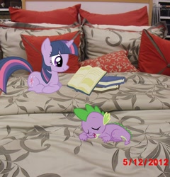 Size: 1372x1430 | Tagged: safe, artist:scrimpeh, artist:theflutterknight, artist:tokkazutara1164, character:spike, character:twilight sparkle, bed, book, irl, photo, pillow, ponies in real life, reading, sleeping, vector
