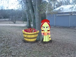 Size: 2592x1944 | Tagged: safe, artist:fureox, artist:mahaugher, artist:tokkazutara1164, character:granny smith, apple, basket, building, irl, photo, ponies in real life, solo, tree, vector, younger