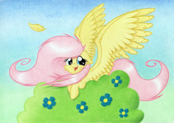 Size: 1920x1363 | Tagged: safe, artist:agamnentzar, character:fluttershy, bush, feather, female, flower, looking at you, smiling, solo, spread wings, traditional art, windswept mane, wings