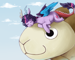 Size: 1000x800 | Tagged: safe, artist:xarakayx, character:twilight sparkle, species:sheep, crossover, discord sparkle, draconequified, going merry, one piece, species swap, tddts, twikonequus