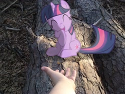 Size: 2592x1944 | Tagged: safe, artist:scootaloooo, artist:tokkazutara1164, character:twilight sparkle, species:human, hand, irl, laughing, photo, ponies in real life, reaching out, shadow, solo, vector, wood