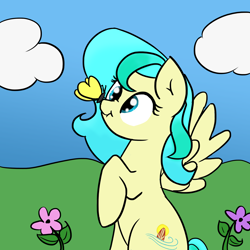 Size: 2000x2000 | Tagged: safe, artist:katiespalace, oc, oc only, species:pegasus, species:pony, art trade, butterfly, solo