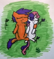 Size: 1456x1601 | Tagged: safe, artist:fifthcru5ader, character:scootaloo, character:sweetie belle, species:pegasus, species:pony, ship:scootabelle, female, grass, lesbian, shipping, sleeping, traditional art