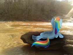 Size: 2048x1536 | Tagged: safe, artist:sairoch, artist:tokkazutara1164, character:rainbow dash, forest, irl, lying down, on side, perch, photo, ponies in real life, river, rock, shadow, solo, sunlight, tree