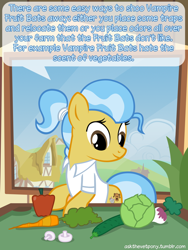 Size: 600x800 | Tagged: safe, artist:adiwan, character:doctor fauna, ask the vet pony