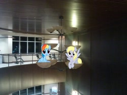 Size: 2048x1536 | Tagged: safe, artist:stillfire, artist:thisismyphotoshoppin, artist:tokkazutara1164, character:derpy hooves, character:rainbow dash, species:pegasus, species:pony, building, ceiling, ceiling light, chair, female, irl, mare, photo, ponies in real life, sitting, vector