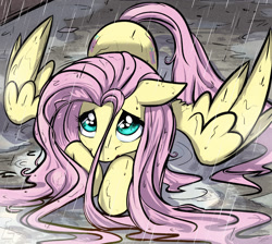 Size: 1600x1435 | Tagged: safe, artist:fidzfox, character:fluttershy, species:pegasus, species:pony, cute, female, floppy ears, looking at you, looking up, mare, prone, rain, sad, shyabetes, solo, spread wings, wet, wet mane, wings