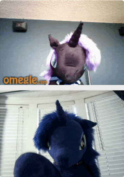 Size: 395x563 | Tagged: safe, artist:earthenhoof, artist:neysanight, character:nightmare moon, character:princess luna, species:pony, animated, clothing, cute, female, filly, irl, lunabetes, moonabetes, omegle, photo, plushie, silly, silly pony, socks, waving