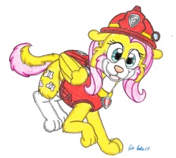Size: 1140x1020 | Tagged: safe, artist:silversimba01, character:fluttershy, species:dog, clothing, collie, female, flutterdog, marshall (paw patrol), paw patrol, solo, species swap, uniform