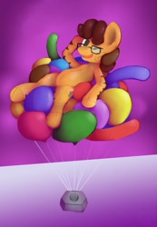 Size: 1425x2054 | Tagged: safe, artist:php64, oc, oc only, balloon, balloon pony, requested art, simple background, solo