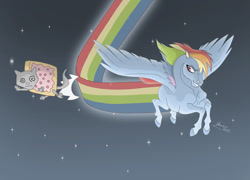 Size: 900x649 | Tagged: safe, artist:almairis, character:rainbow dash, species:pegasus, species:pony, duo, female, mare, nyan cat, nyan dash, rainbow trail, space, speed trail, swirly eyes