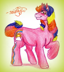 Size: 1148x1274 | Tagged: safe, artist:animagicworld, character:rainbow flash (g3), g3, female, solo, traditional art