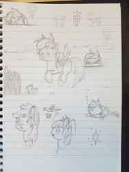 Size: 3024x4032 | Tagged: safe, artist:bigshot232, character:apple bloom, character:applejack, character:pinkie pie, character:rainbow dash, character:rarity, species:bird, :3, bee, bored, duckling, flying, lined paper, lurking, photo, pond, sleeping, traditional art, wet mane, zzz