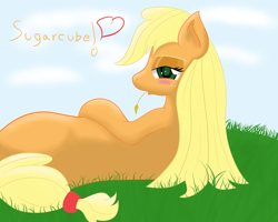 Size: 5000x4000 | Tagged: safe, artist:lordzid, character:applejack, blushing, female, grass, loose hair, on side, solo, straw
