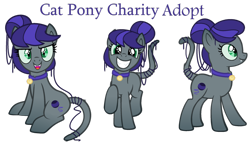 Size: 1024x588 | Tagged: safe, artist:monkfishyadopts, oc, oc only, oc:cat pony, bell, bell collar, catpony, chest fluff, collar, female, original species, simple background, smiling, transparent background