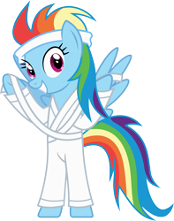 Size: 4248x5378 | Tagged: safe, artist:livehotsun, character:rainbow dash, absurd resolution, clothing, female, gi, headband, martial arts, robe, simple background, solo, taekwondo, transparent background, trousers, vector, white belt