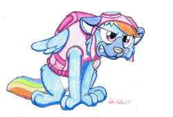 Size: 1332x904 | Tagged: safe, artist:silversimba01, character:rainbow dash, species:dog, species:pony, clean, clothing, costume, dogified, fanart, female, outfit, paw patrol, show, skye (paw patrol), solo, species swap, traditional art
