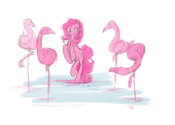 Size: 850x605 | Tagged: safe, artist:noel, character:pinkie pie, species:bird, species:earth pony, species:pony, behaving like a flamingo, female, flamingo, mare, one of these things is not like the others, rearing, water