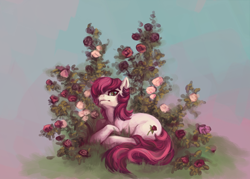Size: 776x557 | Tagged: safe, artist:noel, character:roseluck, species:earth pony, species:pony, ask, ask the flower girls, female, flower, mare, prone, rose, solo, tumblr