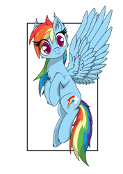 Size: 800x1131 | Tagged: safe, artist:bigshot232, character:rainbow dash, female, flying, solo