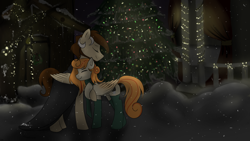 Size: 1920x1080 | Tagged: safe, artist:chickenbrony, oc, oc only, oc:megan, oc:novich, species:pegasus, species:pony, clothing, eyes closed, hug, love, male, new year, night, romantic, scarf, smiling, snow, snowfall, socks, straight, winter, winter outfit