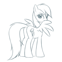 Size: 500x500 | Tagged: safe, artist:fajeh, character:rainbow dash, sketch