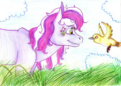 Size: 1991x1412 | Tagged: safe, artist:animagicworld, character:wysteria, species:bird, g3, female, solo, traditional art