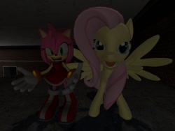 Size: 1024x768 | Tagged: safe, artist:migueruchan, character:fluttershy, 3d, amy rose, crossover, flutterrage, gmod, sonic the hedgehog (series)