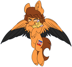 Size: 3976x3692 | Tagged: safe, artist:hellishprogrammer, oc, oc only, oc:vilen white, species:pegasus, species:pony, cat, colored wings, eyes closed, female, glasses, high res, mare, multicolored wings, plushie, simple background, solo, transparent background