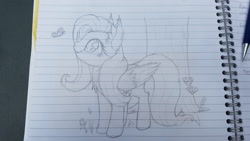 Size: 2560x1440 | Tagged: safe, artist:bigshot232, character:fluttershy, species:pony, butterfly, cheek fluff, chest fluff, ear fluff, female, folded wings, lined paper, looking at something, looking up, pencil drawing, smiling, solo, traditional art