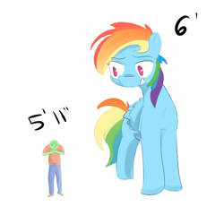 Size: 1100x1100 | Tagged: safe, artist:askcanadash, character:rainbow dash, oc, oc:anon, species:human, species:pegasus, species:pony, /fit/, 5'11" vs 6'0", blatant lies, giant pony, grin, macro, manlet, meme, mog, simple background, size difference, smiling, white background