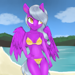Size: 2000x2000 | Tagged: safe, artist:chickenbrony, oc, oc only, species:anthro, species:pegasus, species:pony, beach, bikini, clothing, female, mare, outdoors, ponytail, solo, swimsuit, ych result