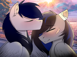 Size: 1024x768 | Tagged: safe, artist:chickenbrony, oc, oc only, species:pegasus, species:pony, bandage, blushing, colt, eyes closed, female, fluffy, forehead kiss, love, male, mare, patch, shipping, smiling, sunset