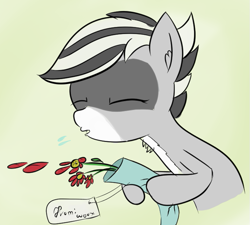 Size: 705x634 | Tagged: safe, artist:rusticanon, oc, oc only, oc:bandy cyoot, species:pony, allergic reaction, allergies, flower, gift card, simple background, sneezing, solo