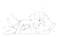 Size: 2498x1561 | Tagged: safe, artist:pzkratzer, oc, oc only, species:sea pony, belly button, kissing, monochrome, shipping, sketch, underwater