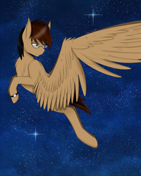 Size: 4000x5000 | Tagged: safe, artist:cannoncar, oc, oc only, species:pegasus, species:pony, absurd resolution, flying, looking back, night, solo, starry night, stars