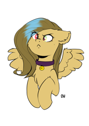 Size: 1481x2092 | Tagged: safe, artist:sugarstar, oc, oc only, species:pegasus, species:pony, bust, collar, crossed hooves, female, head, indignant, looking at you, mare, simple background, solo, transparent background, wings, ych result