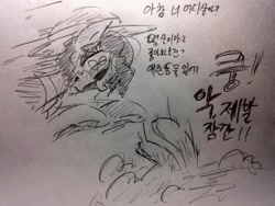 Size: 1024x768 | Tagged: safe, artist:black dog, character:twilight sparkle, everfree, korean, some pony