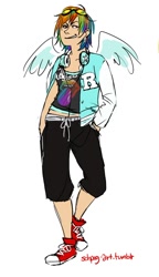 Size: 460x800 | Tagged: safe, artist:schpog, character:rainbow dash, converse, humanized, shoes, winged humanization