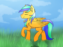 Size: 1024x768 | Tagged: safe, artist:chickenbrony, oc, oc only, oc:naarkerotics, chest fluff, ear fluff, grass, side view, solo, ych result