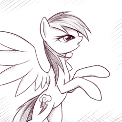 Size: 602x602 | Tagged: safe, artist:fajeh, character:rainbow dash, sketch