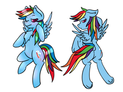Size: 4000x3000 | Tagged: safe, artist:kiwiscribbles, character:rainbow dash, species:pegasus, species:pony, blushing, body pillow, body pillow design, both cutie marks, chest fluff, female, flying, heart eyes, mare, one eye closed, simple background, solo, transparent background, underhoof, wingding eyes, wings, ych result