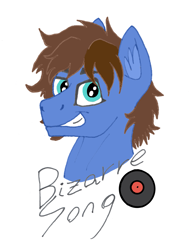Size: 2921x3846 | Tagged: safe, artist:summerium, oc, oc only, oc:bizarre song, species:pony, bust, cutie mark, ear fluff, male, mixed media, portrait, smiling, solo, stallion, text